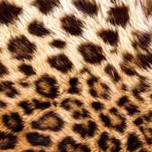 Samolepící fototapety do kuchyně - fototapeta KI180-069 Leopard skin (180 x 60 cm)