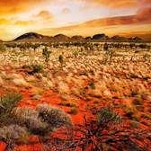 Vliesové fototapety MS-5-0050, fototapeta Australian landscape, 375 x 250 cm + lepidlo zdarma