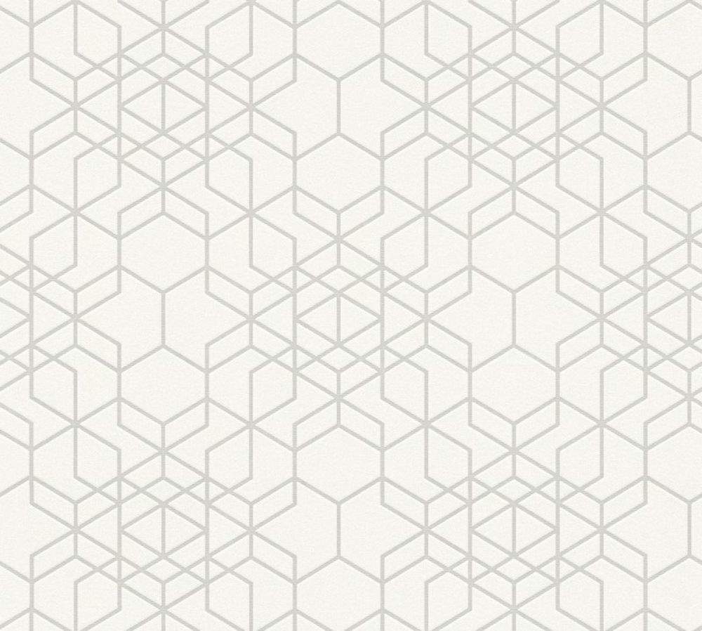 Vliesové tapety A.S. Création Black and White 4 (2022) 34869-1, vliesová tapeta na zeď Björn 348691, (0,53 x 10,05 m) + od 2 tapet potřebné lepidlo zdarma