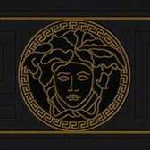 Luxusní vliesové tapety - bordury A.S. Création Versace 5 (2025) 93522-4, tapeta - bordura na zeď 935224, (13 x 500 cm)