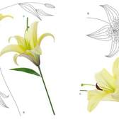 Samolepící dekorace AG Design F0446  2-dílná Yellow lillies, AGF00446 Lilie (65 x 85 cm)
