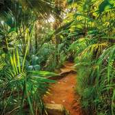 Fototapeta Komar 8-989 Jungle Trail (368 x 254 cm)