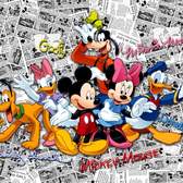 Dětská papírová fototapeta AG Design FTD 2225 Mickey Mouse o rozměru 360x254 cm, lepidlo je součástí