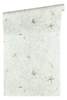 Luxusní vliesové tapety A.S. Création Versace 3 - 2019 34496-3, tapeta na zeď 344963, (0,70 x 10,05 m) + potřebné lepidlo zdarma