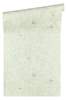 Luxusní vliesové tapety A.S. Création Versace 3 (2024) 34496-2, tapeta na zeď 344962, (0,70 x 10,05 m)