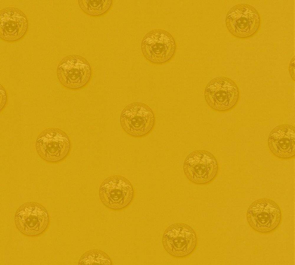 Luxusní vliesové tapety A.S. Création Versace 3 - 2019 34862-4, tapeta na zeď 348624, (0,70 x 10,05 m) + potřebné lepidlo zdarma