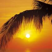 Fototapeta Komar 2-1255 Palmy Beach Sunrise (92 x 220 cm)