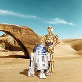 Fototapeta Komar Star Wars 8-484 Lost Droids (368 x 254 cm)