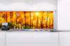 Samolepící fototapety do kuchyně - fototapeta KI180-084 Sunny forest (180 x 60 cm)