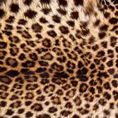 Vliesové fototapety MS-5-0184, fototapeta Leopard skin, 375 x 250 cm + lepidlo zdarma