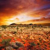 Vliesové fototapety MS-3-0050, fototapeta Australian landscape, 225 x 250 cm + lepidlo zdarma