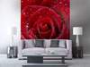 Vliesové fototapety MS-3-0138, fototapeta Red rose, 225 x 250 cm + lepidlo zdarma