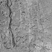 Vliesové fototapety MS-2-0173, fototapeta Concrete floor, 150 x 250 cm + lepidlo zdarma