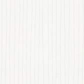 Přetíratelné vliesové tapety A.S. Création Meistervlies (2024) 32005-1, tapeta na zeď 320051, (25,00 x 1,06 m)