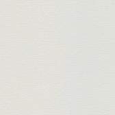Přetíratelné vliesové tapety A.S. Création Meistervlies (2024) 1039-18, tapeta na zeď 103918, (10,05 x 0,53 m)