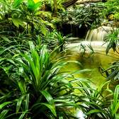 Vliesové fototapety AG Design FTNXXL2491 Přírodní laguna, fototapeta FTN XXL2491 Jungle waterfall lagoon o rozměru 360x270 cm, lepidlo je součástí