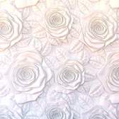 Vliesové fototapety AG Design FTNM2689 3D růže, fototapeta FTN M2689 Rose light 3D o rozměru 160x110 cm, lepidlo je součástí