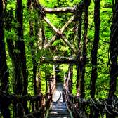 Vliesové fototapety AG Design FTNV2937 Lesní most, fototapeta FTN V2937 Forest bridge o rozměru 90x202 cm, lepidlo je součástí