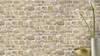 Papírové tapety Rasch Das Beste (2021) 265606, tapeta na zeď Aldora III, 10,05 x 0,53 m + od 2 tapet potřebné lepidlo zdarma
