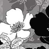 Samolepící bordura AG Design WB 8239 Black Flowers, bordury na zeď WB8239 (0,14 x 5 m)