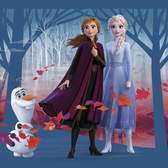 Vliesové fototapety AG Design FTDNM5264 Disney Ledové království 2, fototapeta FTDN M5264 Frozen II o rozměru 160x110 cm, lepidlo je součástí