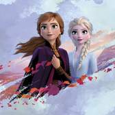 Vliesové fototapety AG Design FTDNM5263 Disney Ledové království 2, fototapeta FTDN M5263 Frozen II o rozměru 160x110 cm, lepidlo je součástí