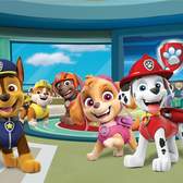 Vliesové fototapety AG Design FTDNM5273 Tlapková patrola, fototapeta FTDN M5273 Paw Patrol o rozměru 160x110 cm, lepidlo je součástí