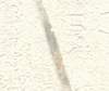 Vliesové tapety Rasch Andy Wand (2023) 458220, vliesová tapeta na zeď 0,53 x 10,05 m