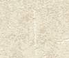 Vliesové tapety Rasch Andy Wand (2023) 458039, vliesová tapeta na zeď 0,53 x 10,05 m