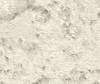 Vliesové tapety Rasch Andy Wand (2023) 649406, vliesová tapeta na zeď 0,53 x 10,05 m