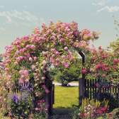 Fototapeta Komar 8-936 Rose Garden (368 x 254 cm)