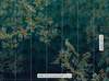 Fototapeta Komar Heritage 7-dílná vliesová HX7-056 Paradis (350 x 260 cm)