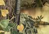 Fototapeta Komar Heritage 8-dílná vliesová HX8-049 Lac Tropical (400 x 270 cm)