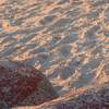 Fototapeta Komar Stefan Hefele 8-dílná vliesová SHX8-132 Bay of Fires (400 x 280) + potřebné lepidlo zdarma