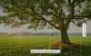 Fototapeta Komar Stefan Hefele 9-dílná vliesová SHX9-086 The Magic Tree (450 x 280) + potřebné lepidlo zdarma