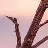 Fototapeta Komar Stefan Hefele 9-dílná vliesová SHX9-097 Wild West Heroes (450 x 280) + potřebné lepidlo zdarma