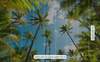 Fototapeta Komar Stefan Hefele 9-dílná vliesová SHX9-108 Coconut Heaven (450 x 280) + potřebné lepidlo zdarma