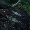 Fototapeta Komar Stefan Hefele 9-dílná vliesová SHX9-117 Jurassic Island (450 x 280) + potřebné lepidlo zdarma