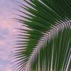Fototapeta Komar Stefan Hefele 9-dílná vliesová SHX9-116 Hawaiian Dreams (450 x 280) + potřebné lepidlo zdarma