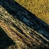 Fototapeta Komar Stefan Hefele 9-dílná vliesová SHX9-115 Green Ridges (450 x 280) + potřebné lepidlo zdarma