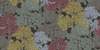 Vliesové tapety A.S. Création Floral Impression (2029) 37753-2, vliesová tapeta na zeď 377532, (0,53 x 10,05 m)