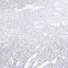 Vliesové tapety A.S. Création Floral Impression (2029) 37753-6, vliesová tapeta na zeď 377536, (0,53 x 10,05 m)