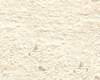 Vliesové tapety RASCH Concrete (2024) 520835, vliesová tapeta na zeď, (0,53 x 10,05 m)