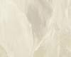 Vliesové tapety RASCH Curiosity (2025) 537338, vliesová tapeta na zeď, (0,53 x 10,05 m)
