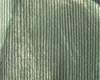 Vliesové tapety RASCH Curiosity (2025) 537345, vliesová tapeta na zeď, (0,53 x 10,05 m)