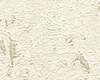 Vliesové tapety RASCH Curiosity (2025) 538311, vliesová tapeta na zeď, (0,53 x 10,05 m)