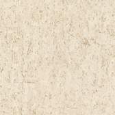 Vliesové tapety RASCH Curiosity (2025) 538328, vliesová tapeta na zeď, (0,53 x 10,05 m)