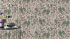 Vliesové tapety RASCH Curiosity (2025) 538212, vliesová tapeta na zeď, (0,53 x 10,05 m)