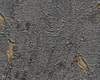Vliesové tapety RASCH Curiosity (2025) 538359, vliesová tapeta na zeď, (0,53 x 10,05 m)