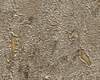 Vliesové tapety RASCH Curiosity (2025) 538342, vliesová tapeta na zeď, (0,53 x 10,05 m)